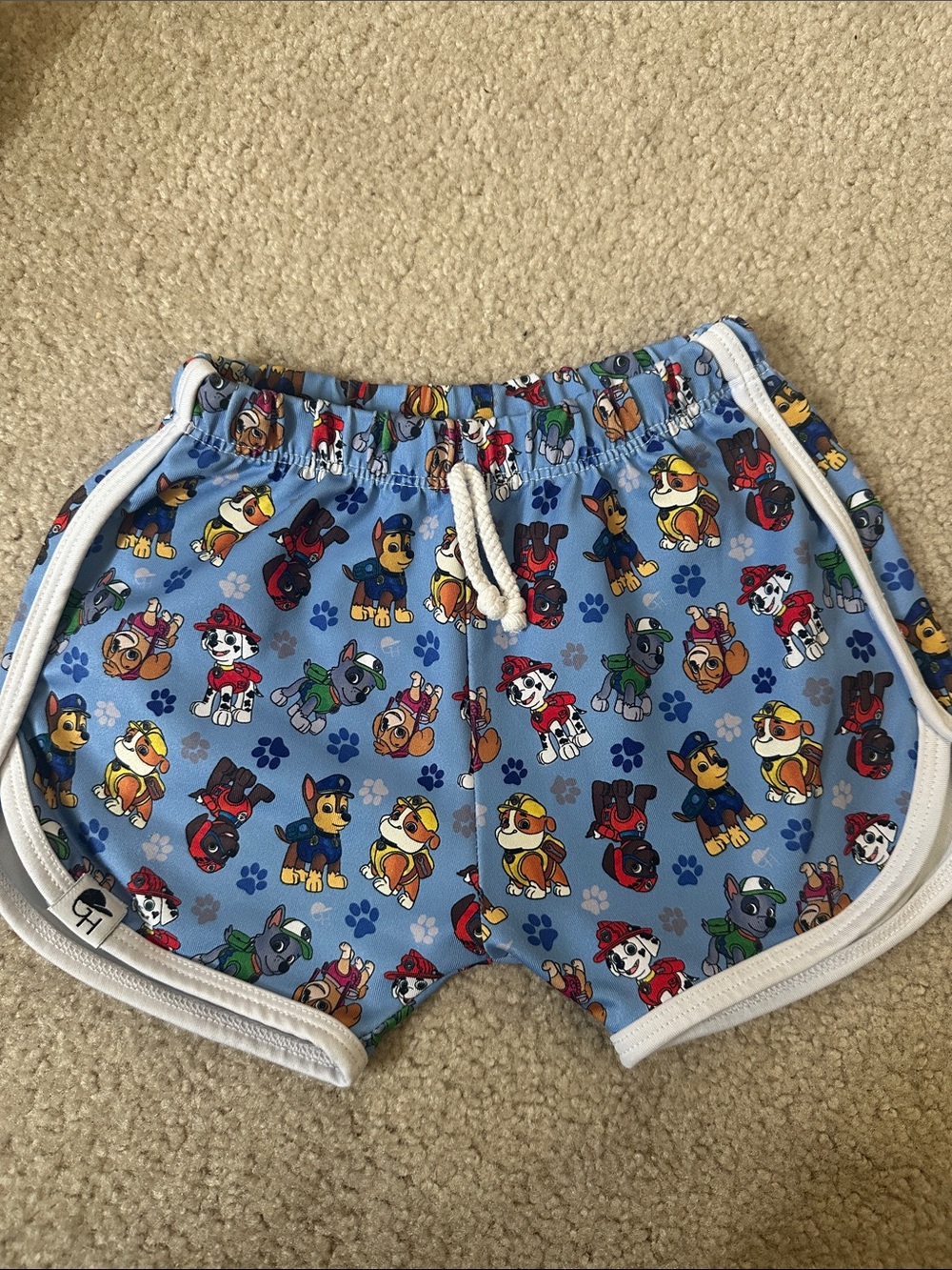 Blue Paw Patrol Boys Track Shorts/Swim